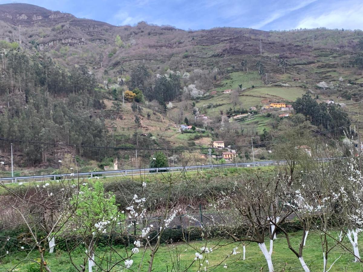 Casa Rural En Santa Cruz-Mieres Bustiello  Buitenkant foto