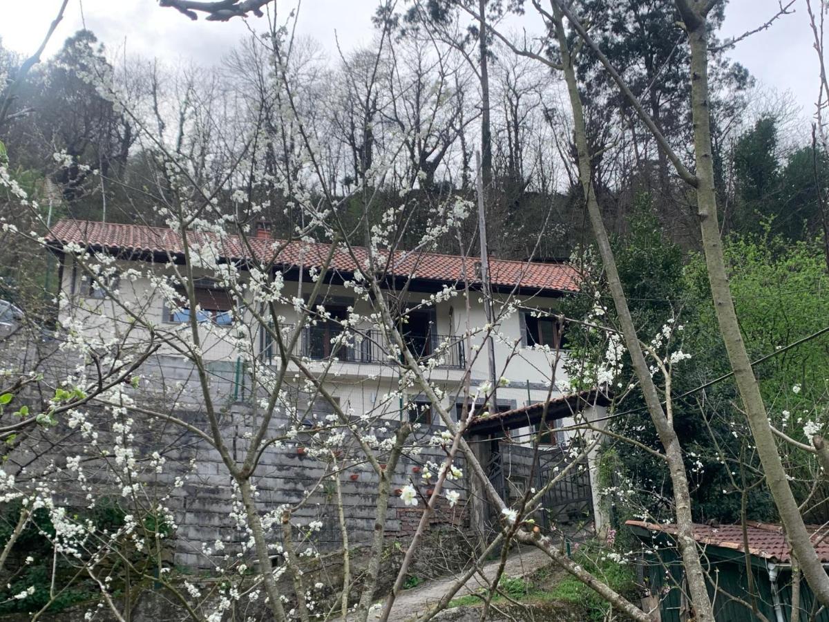 Casa Rural En Santa Cruz-Mieres Bustiello  Buitenkant foto
