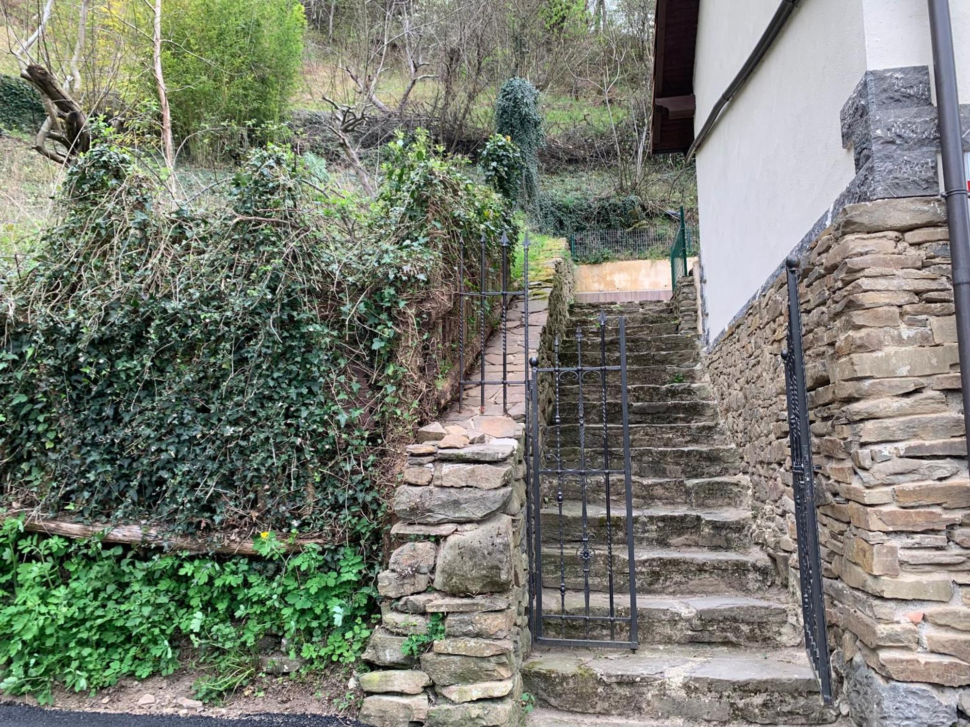 Casa Rural En Santa Cruz-Mieres Bustiello  Buitenkant foto